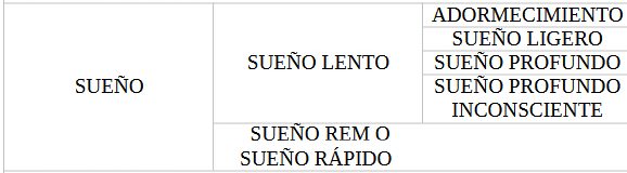 patron de sueño
