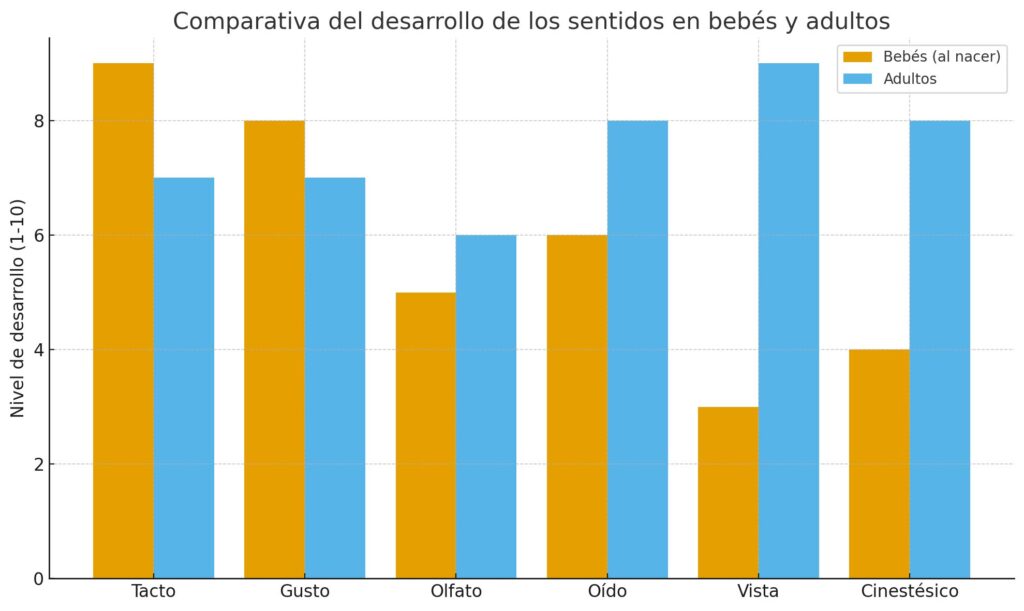 sentidos en los bebés comparativa
