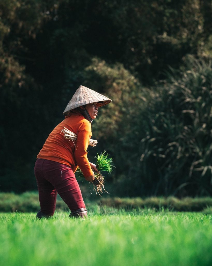 alimentos que no puede comer un niño