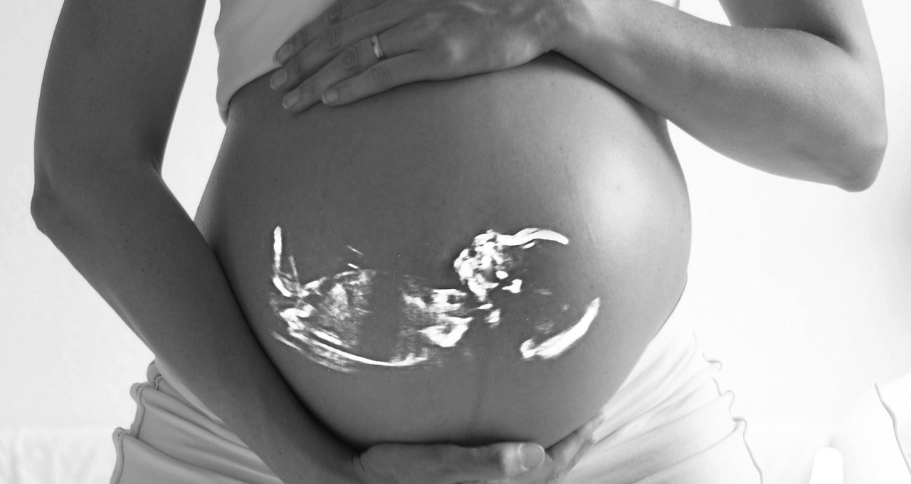 Leyes del desarrollo humano (de infantil a adulto ➡️)