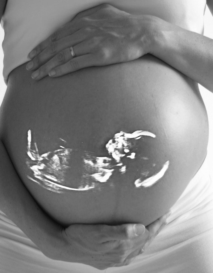 Leyes del desarrollo humano (de infantil a adulto ➡️)