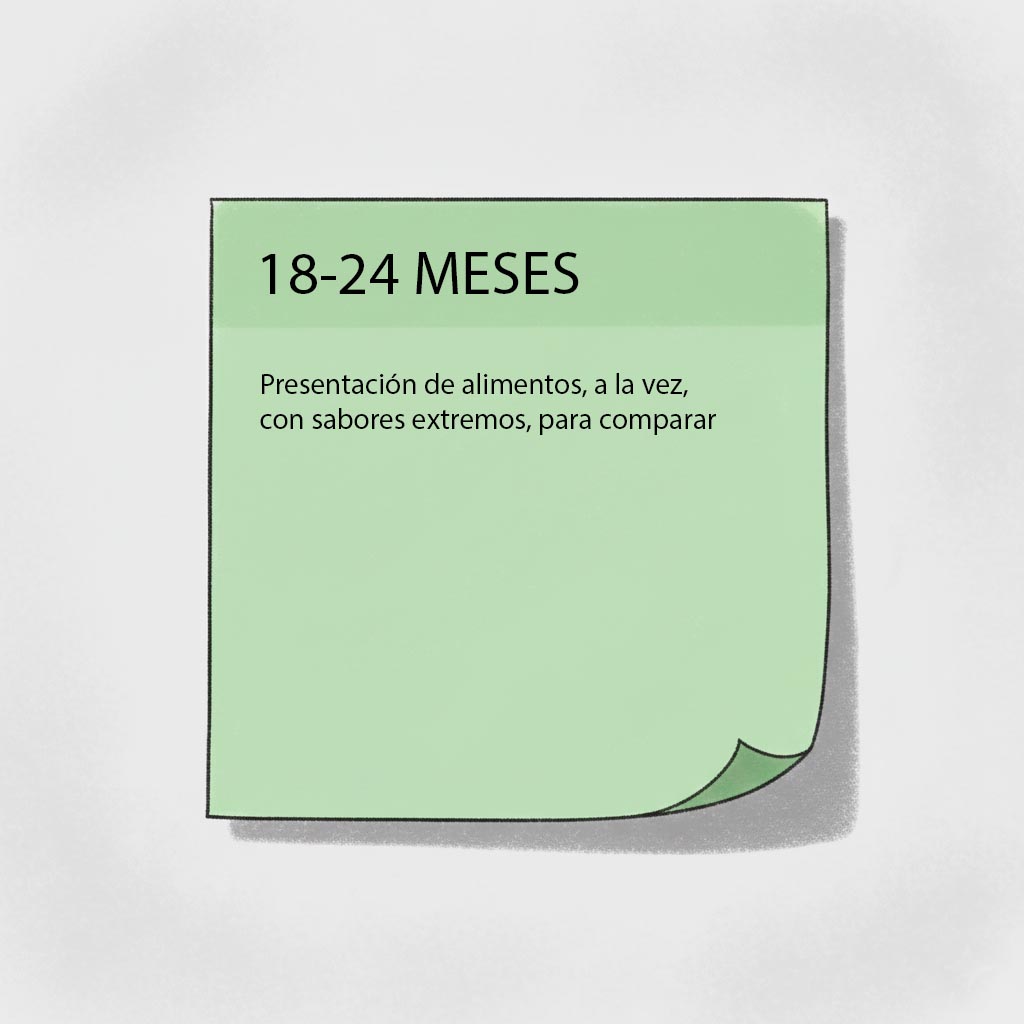actividades estimulacion gusto 18-24 meses