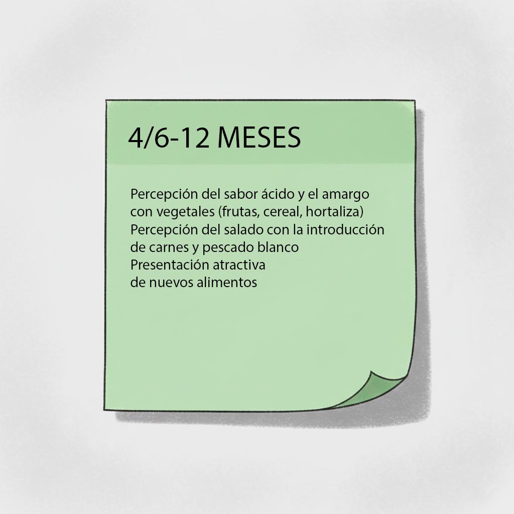actividades estimulacion gusto 6-12 meses