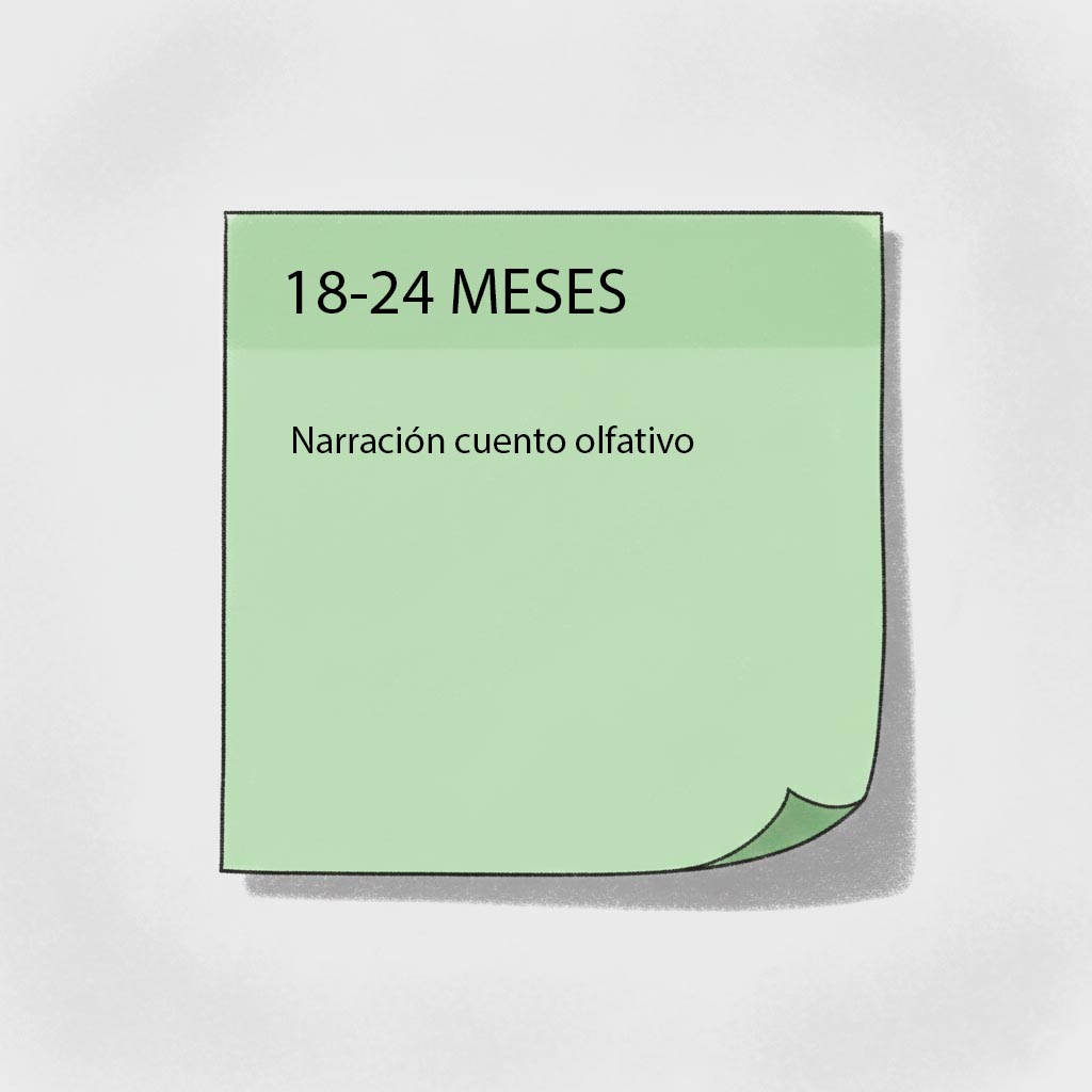 estimulacion olfato actividades 18-24