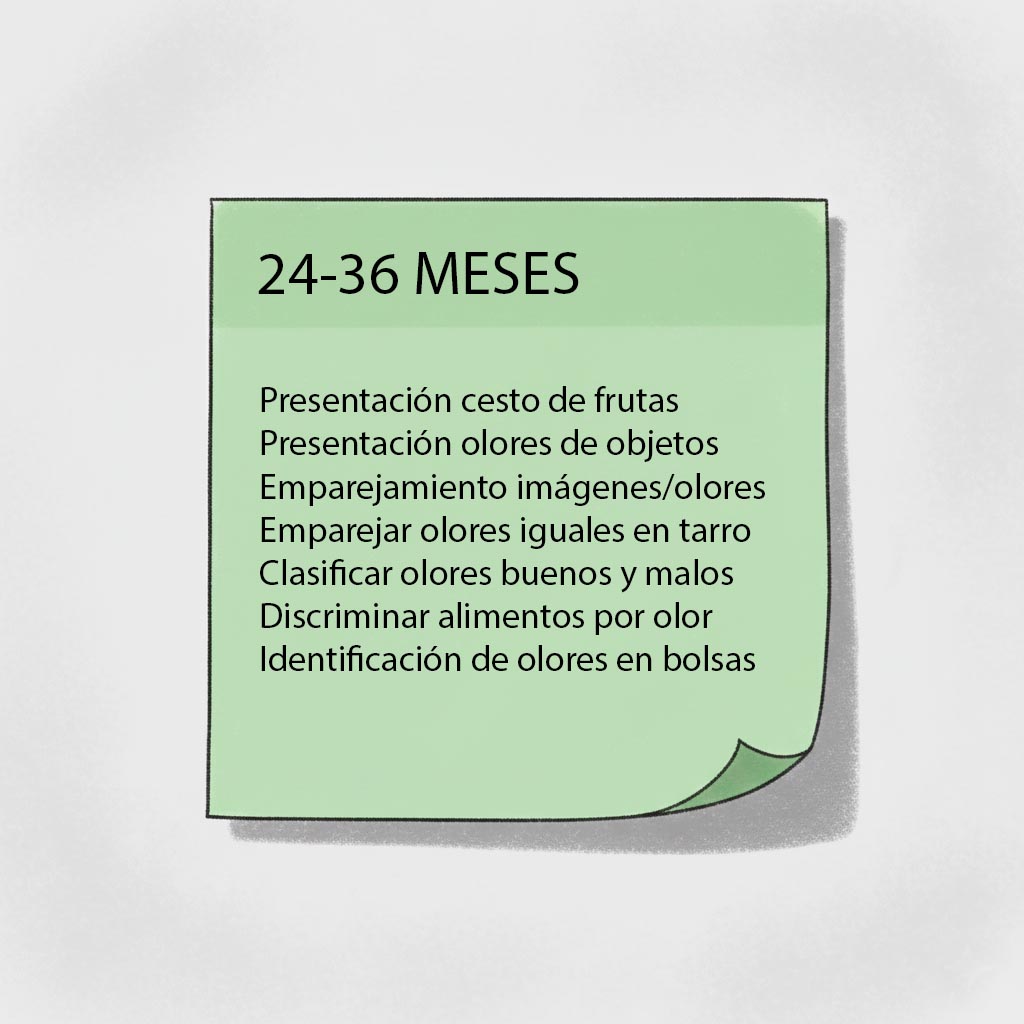 estimulacion olfato actividades 24-36