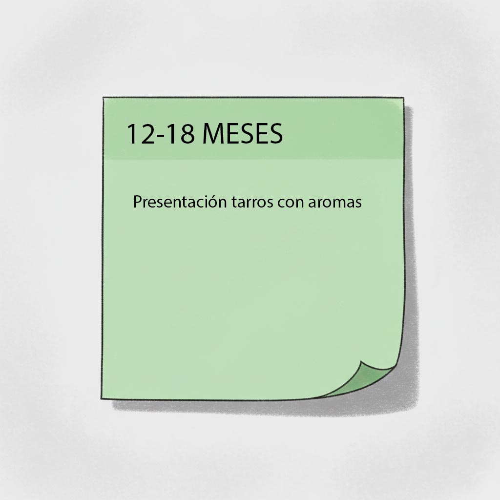 estimulacion olfato actividades 12-18