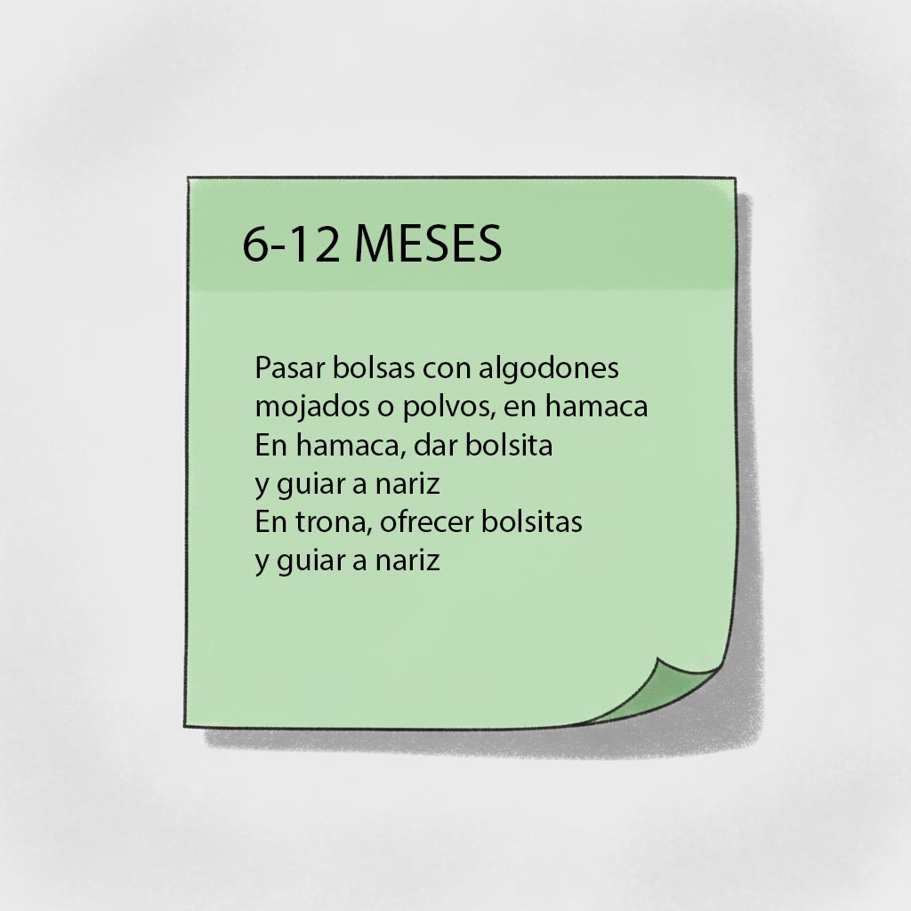 estimulacion olfato actividades 6-12