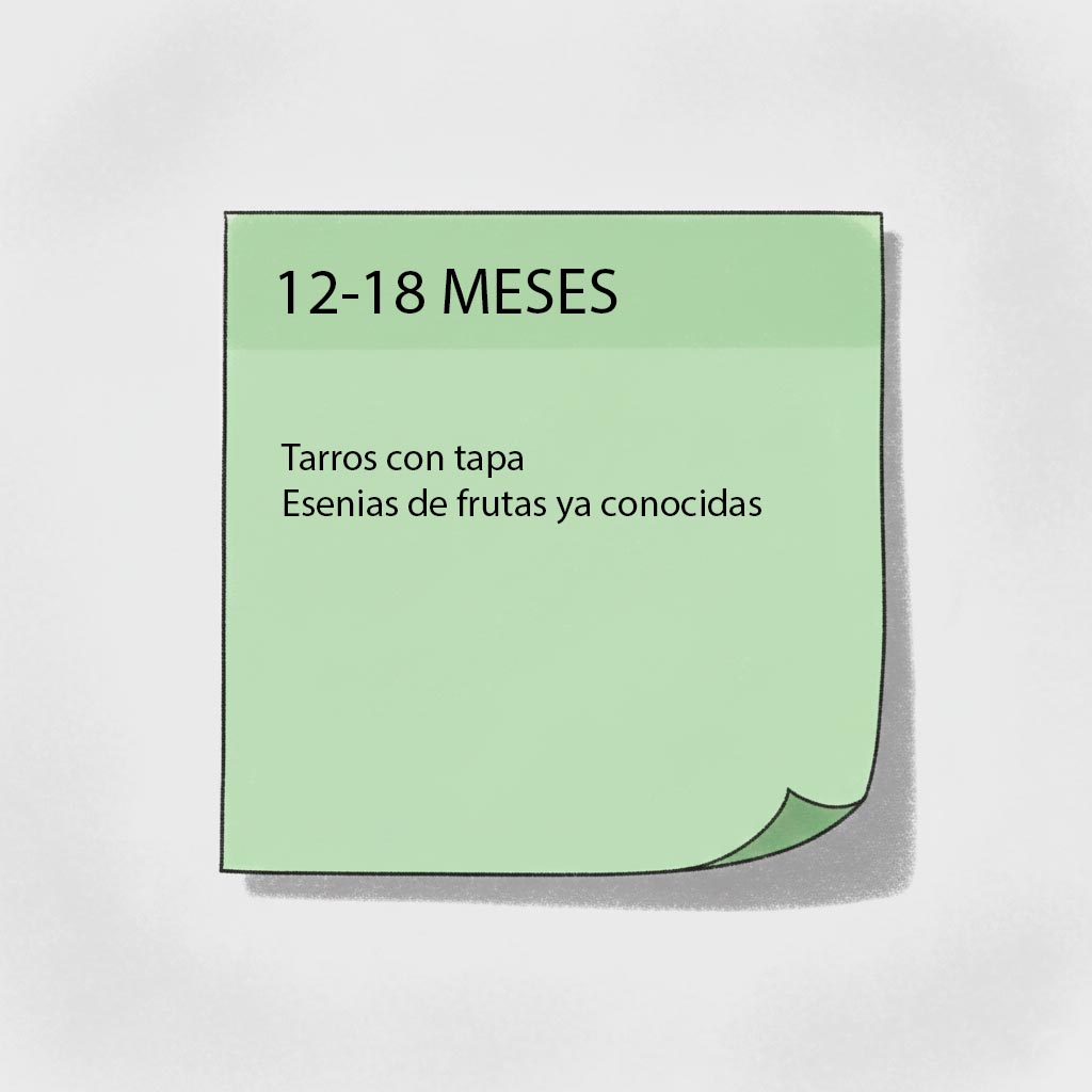 estimulacion olfato materiales 12-18
