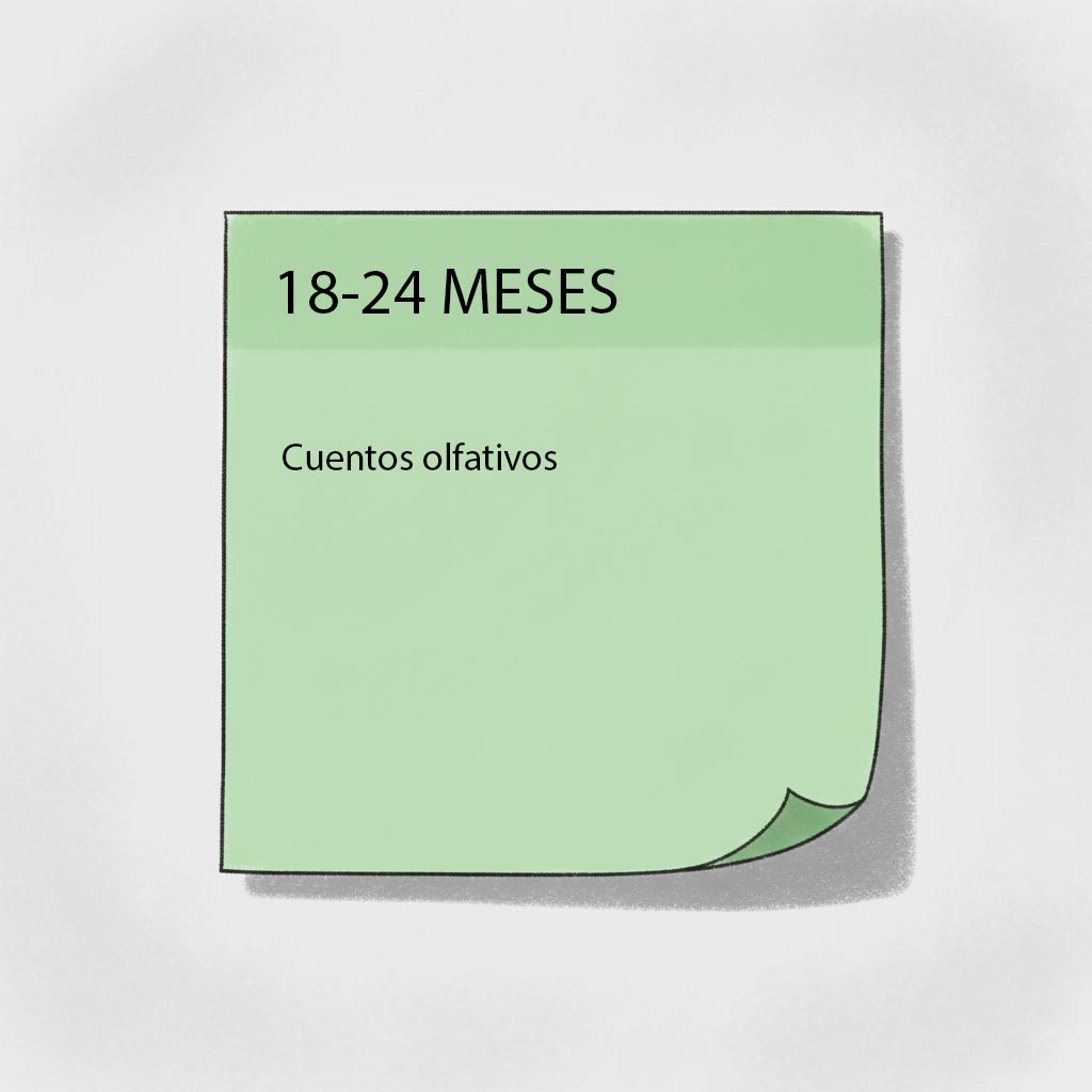 estimulacion olfato materiales 18-24