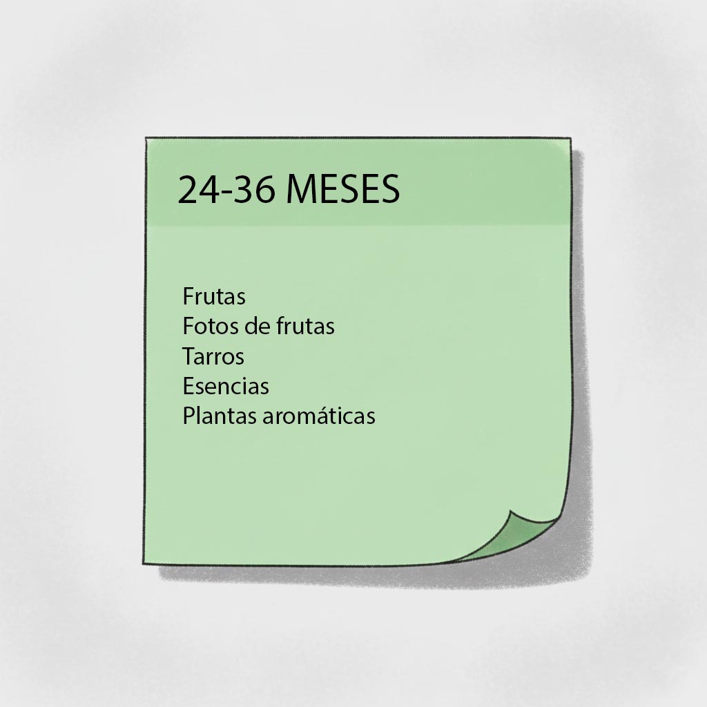 estimulacion olfato materiales 24-36