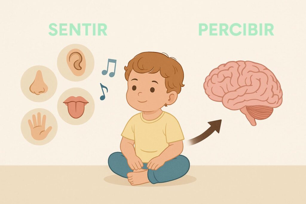Sentir vs percibir